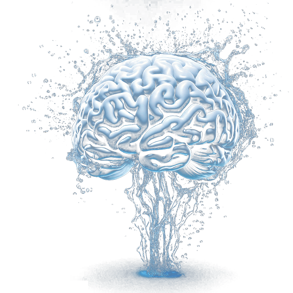 brain made of water